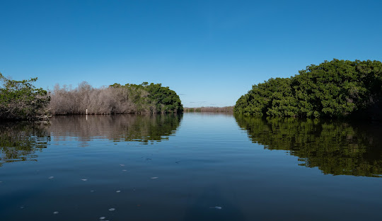 Cosver Tours